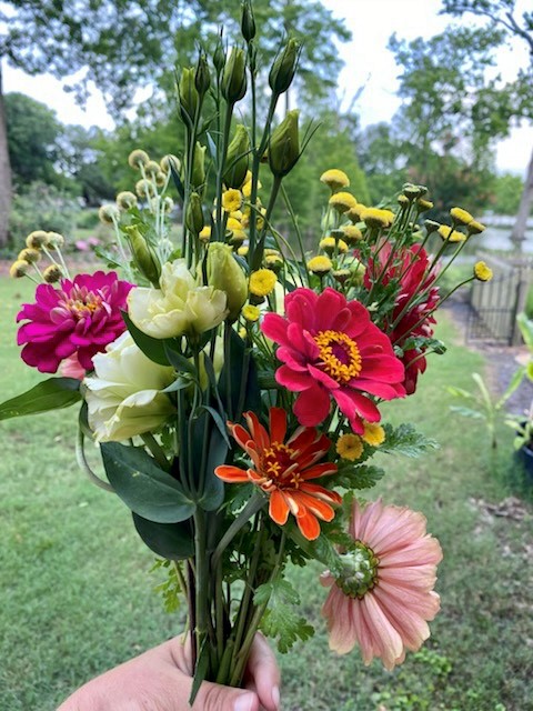 Grow your own cut flower garden