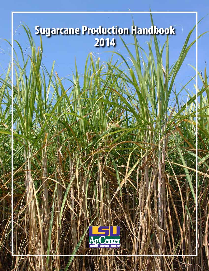 Sugarcane Production Handbook