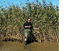 A man stands in front of grass in a marsh.