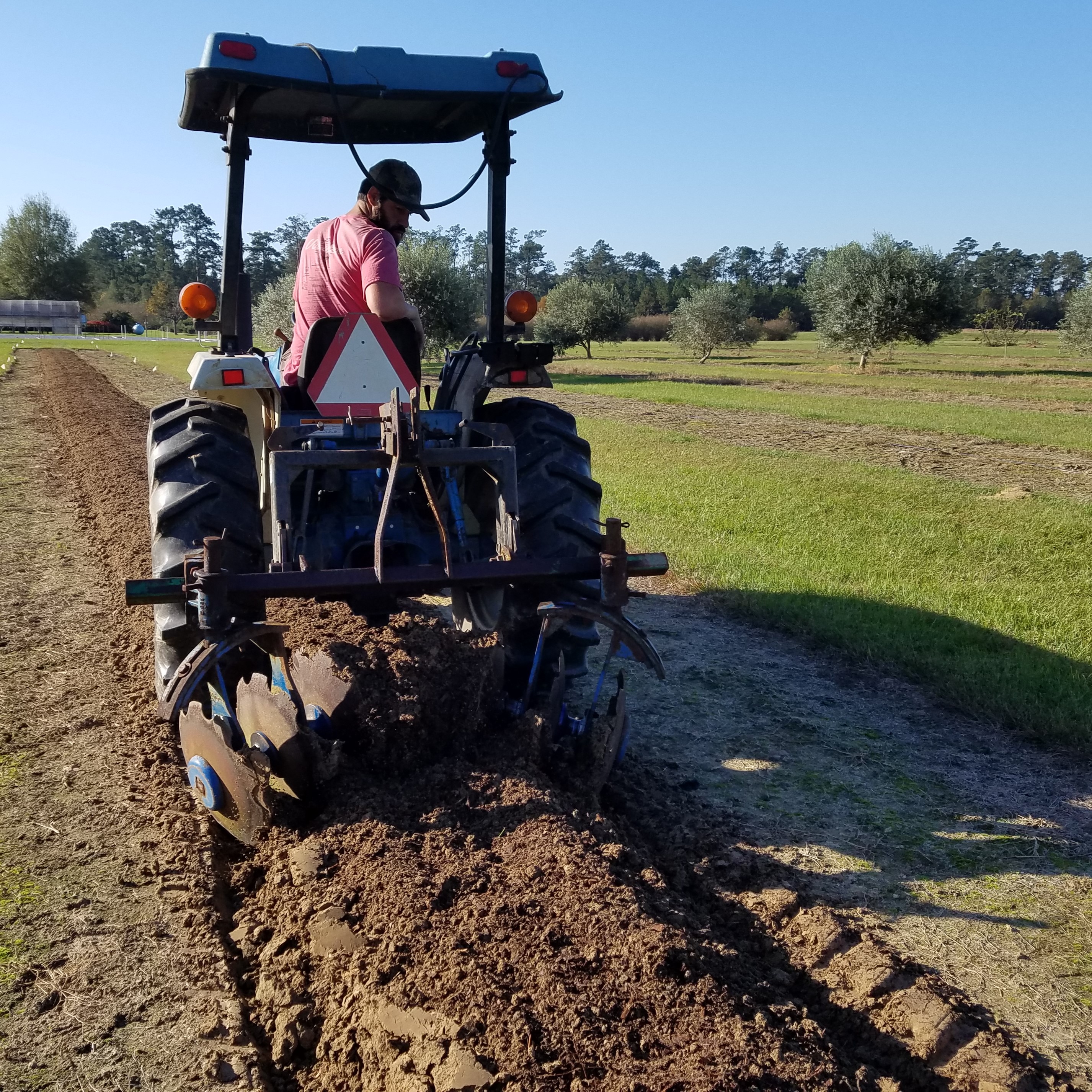 tractor and row hipper implement pulling soil up into raised row