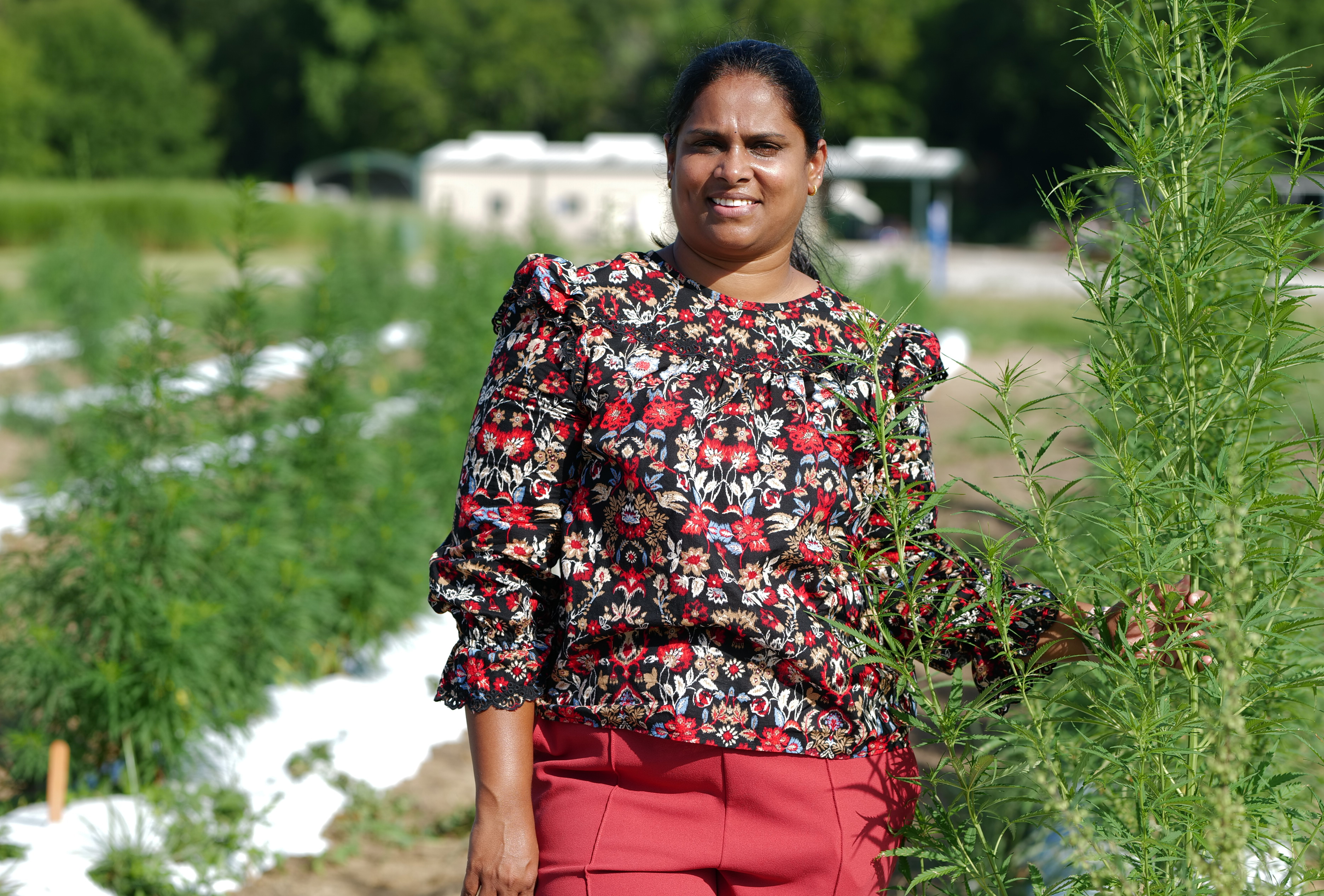 Connecting With Her Family Farm in India Led Babitha Jampala to Plant Breeding