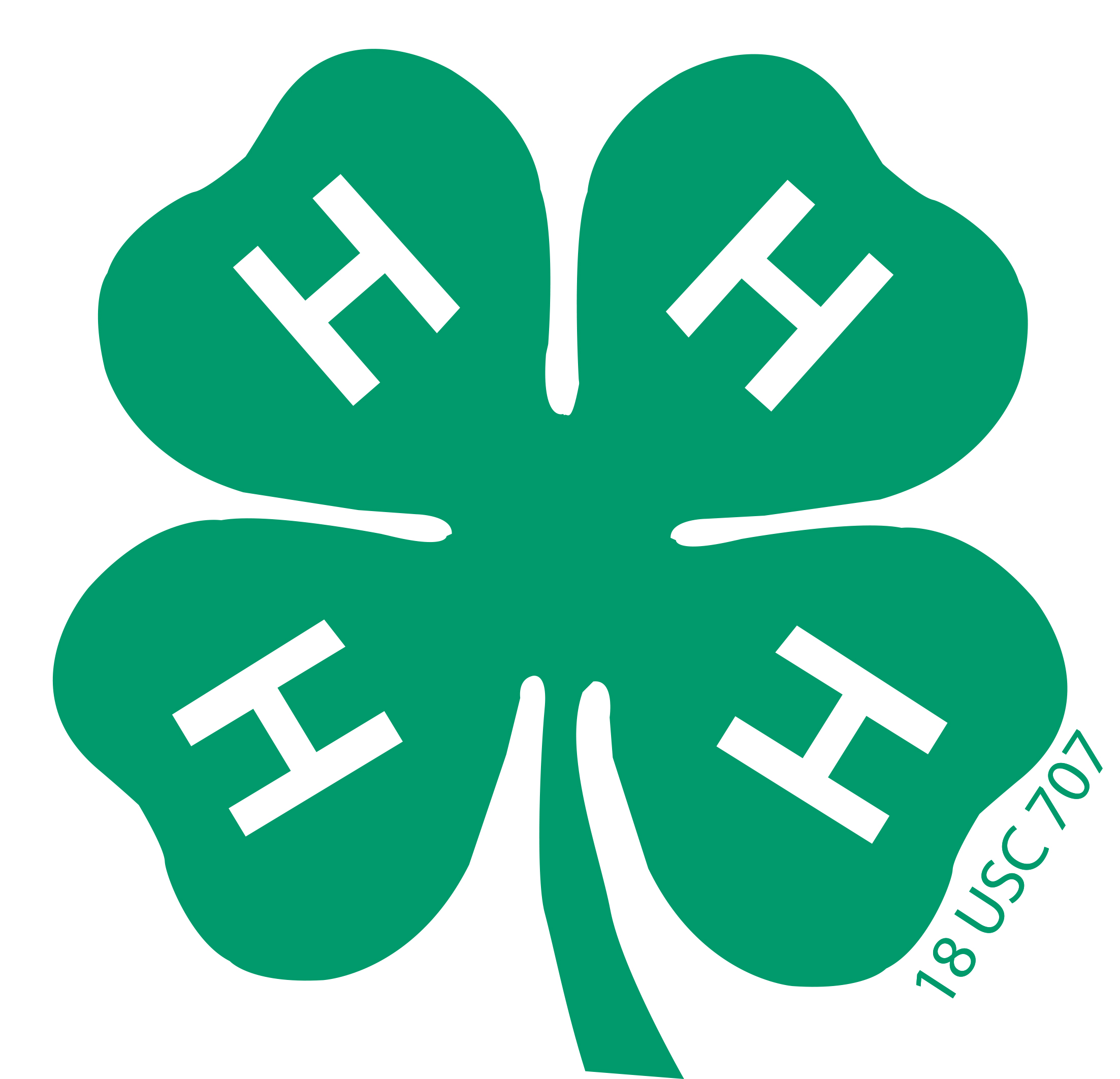 New Orleans Saints, Pelicans fund 4-H camp scholarships 