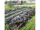 gardensjpg