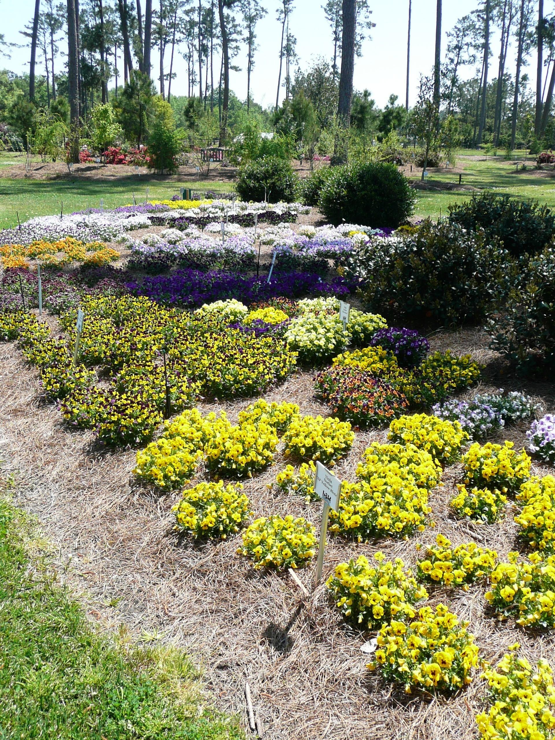 A good summer landscape takes planning