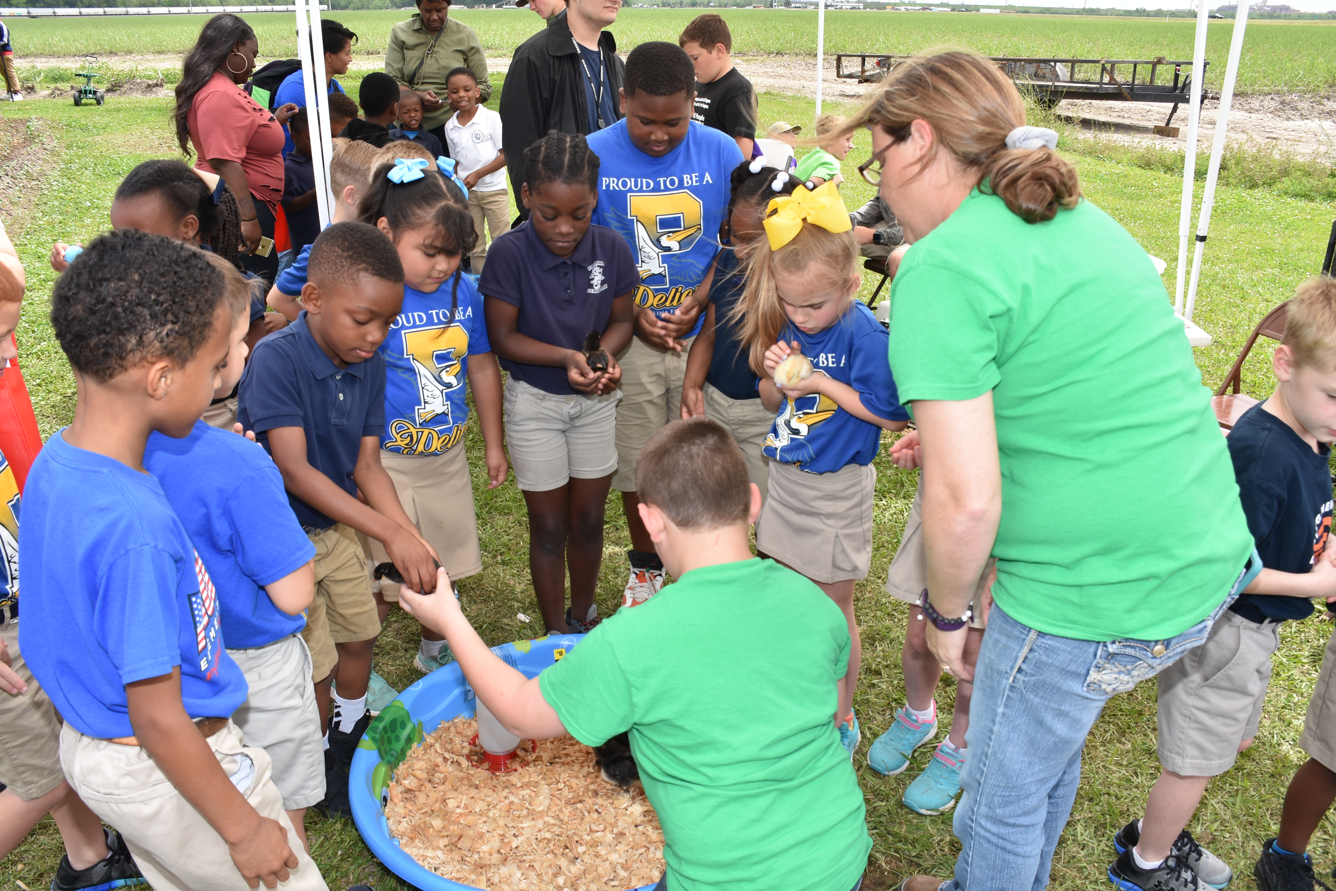 Food literacy taught at St. James Parish Ag Day 