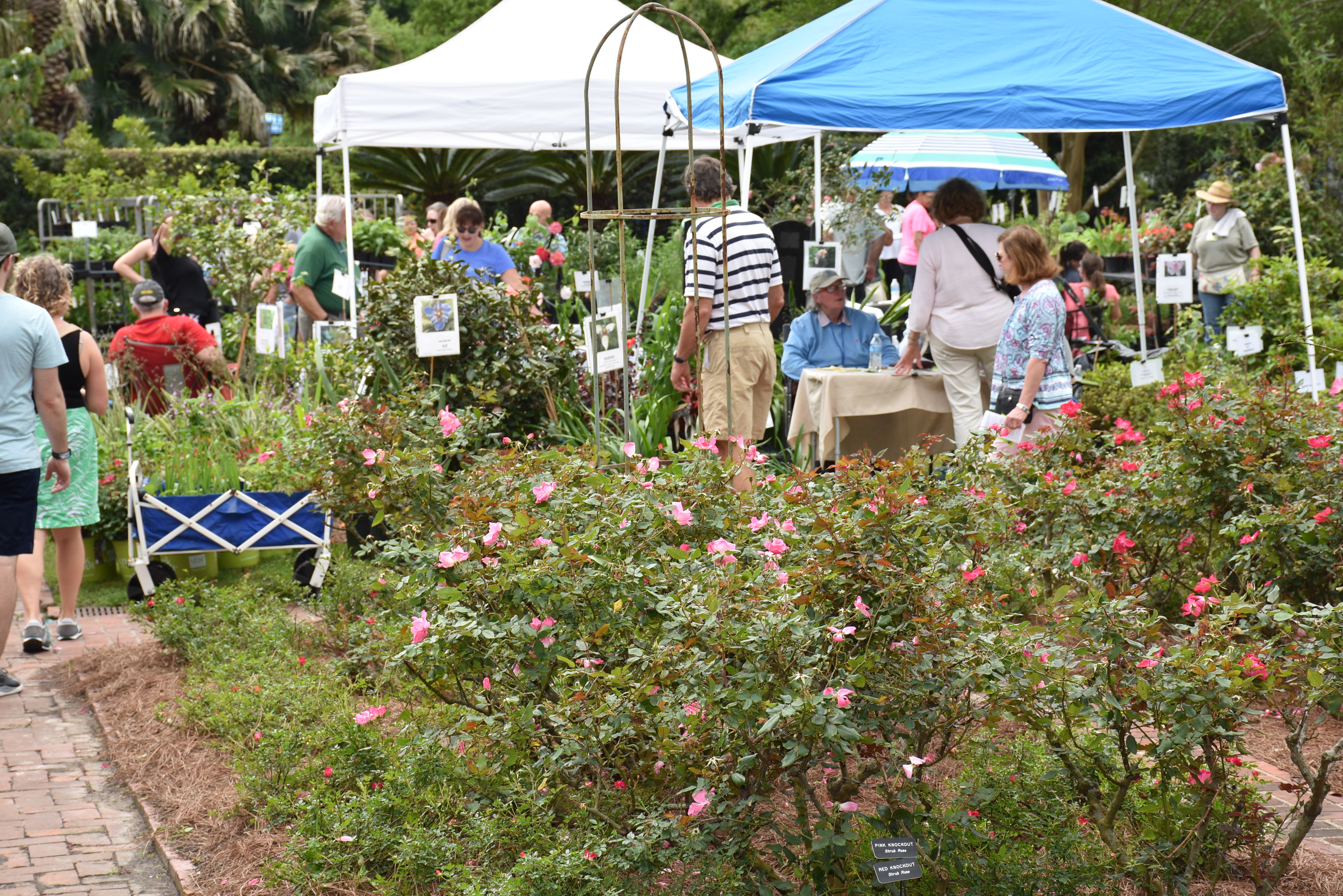 Garden shows scheduled across Louisiana