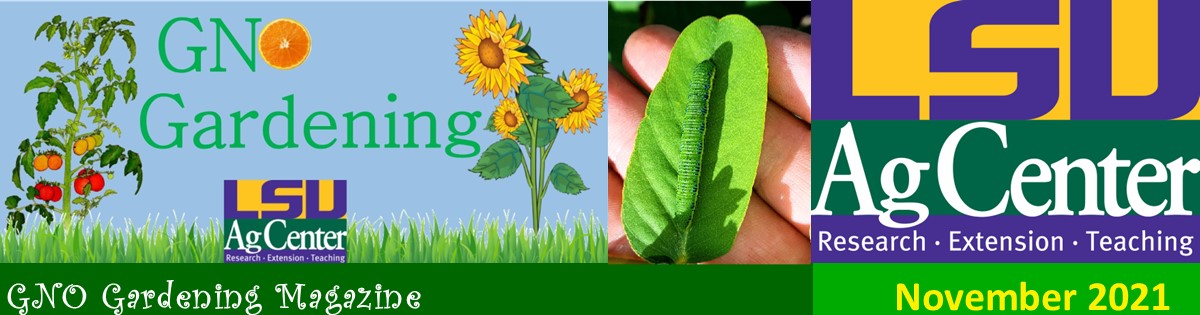 GNO Gardening - November 2021