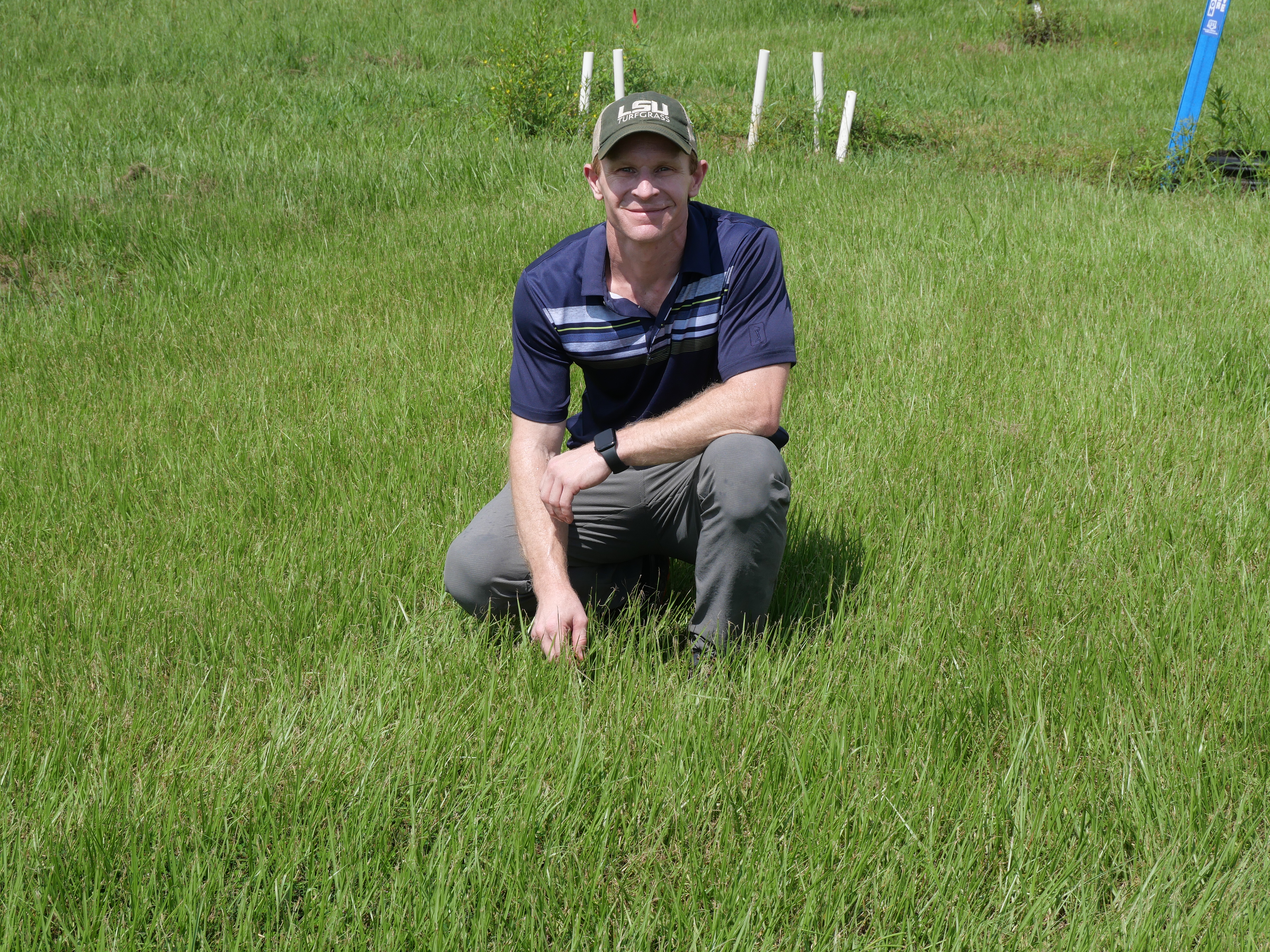 Multi-state study offers recommendations for keeping bermudagrass greener all season