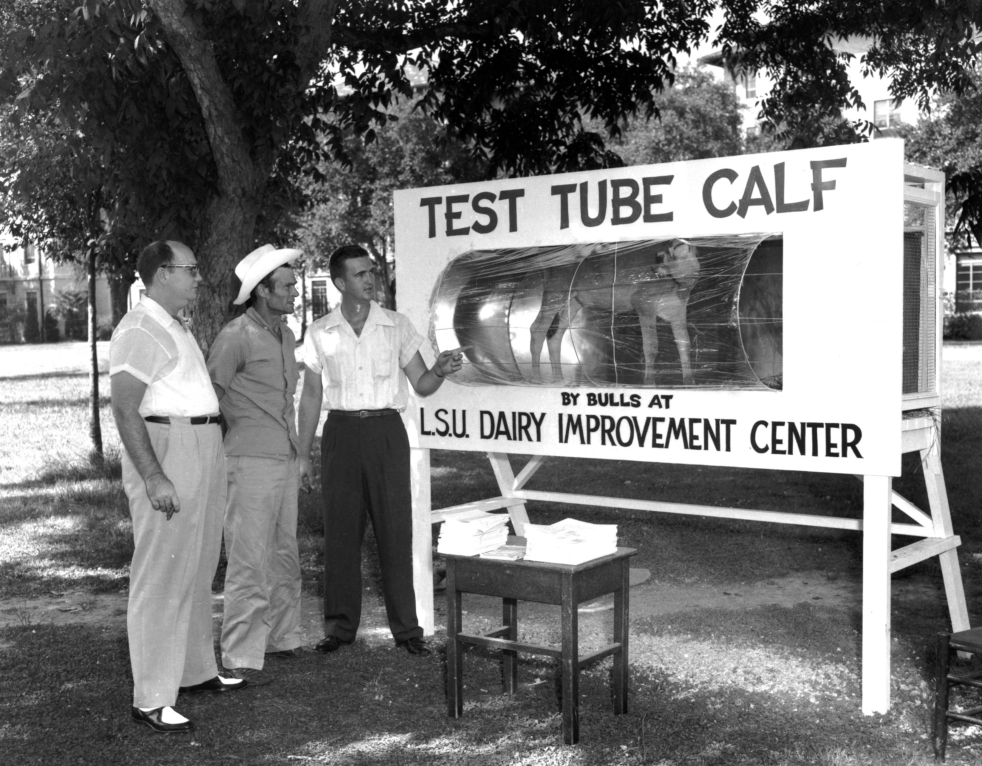 Black-and-white archive photo of three men standing next to a wooden crate labeled "test tube calf."