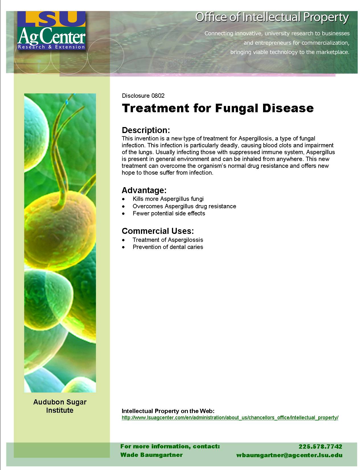 Sugar-Based Treatment for Fungal Disease