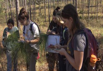 Students study diverse habitats in botany course
