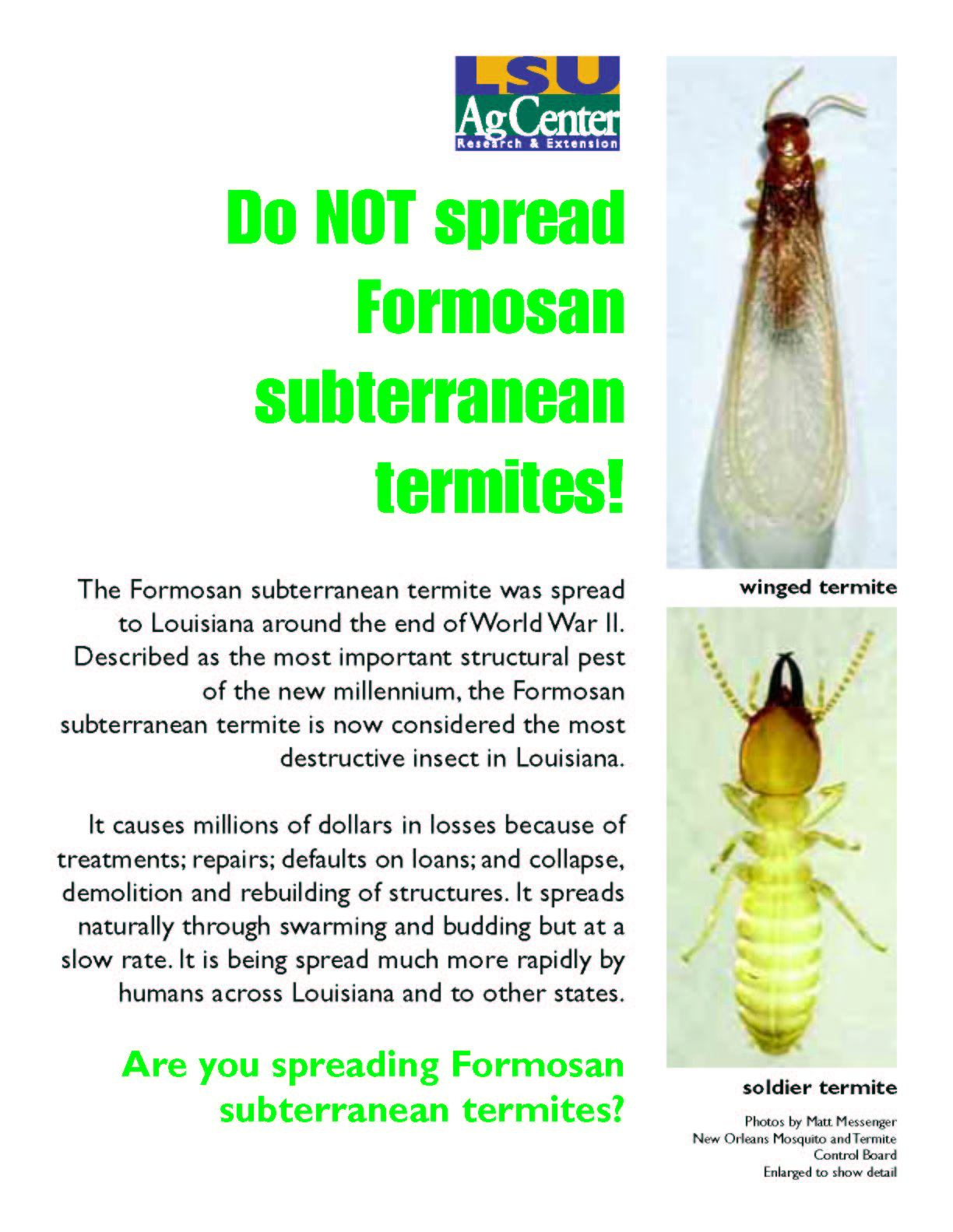Do Not Spread Formosan Subterranean Termites