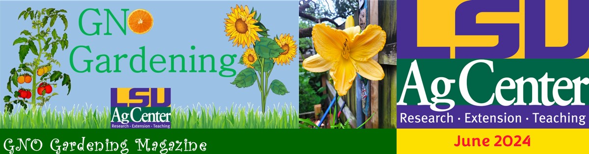 GNO Gardening - June 2024