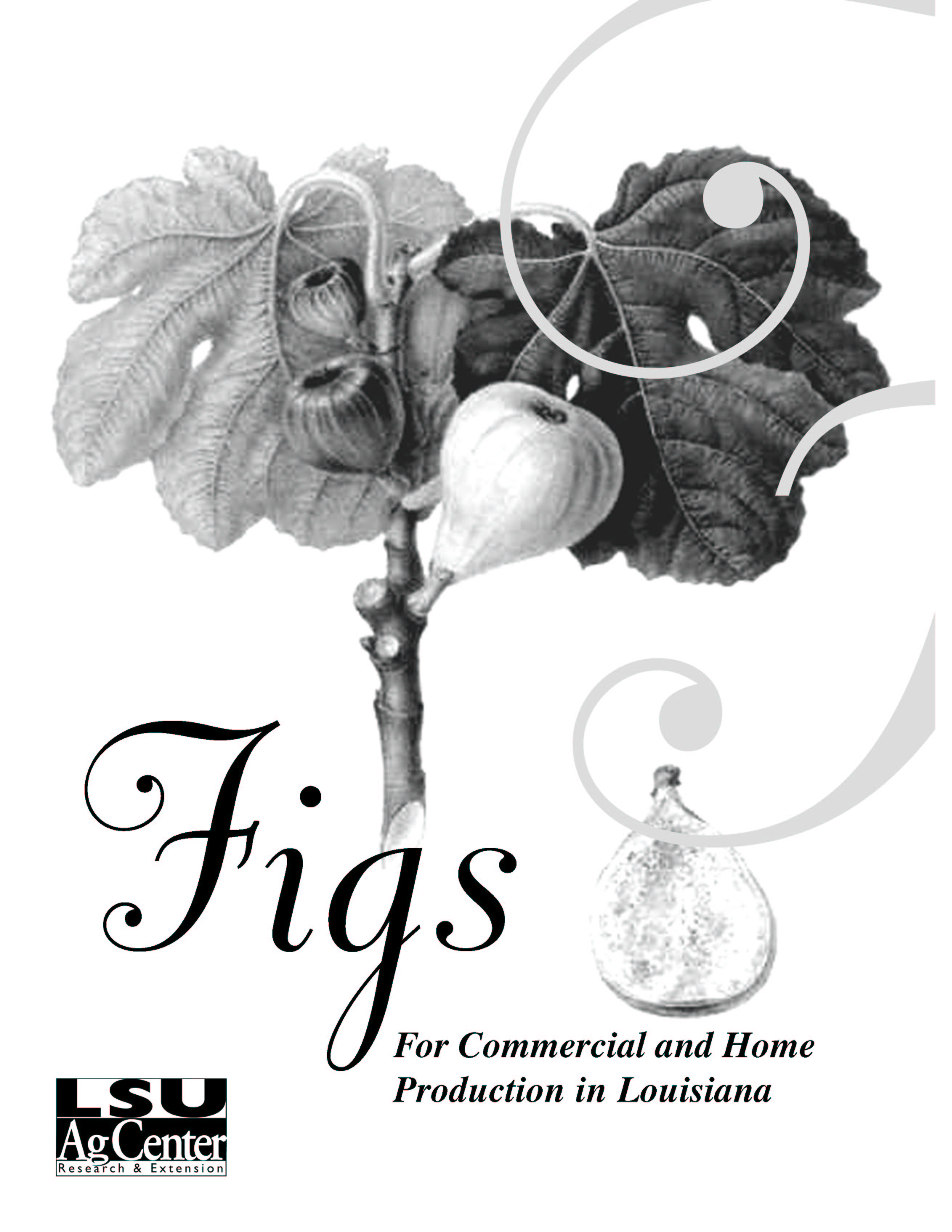 Figs for Commercial and Home Production in Louisiana