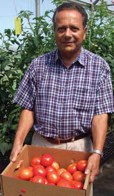 LSU AgCenter loses two scientists