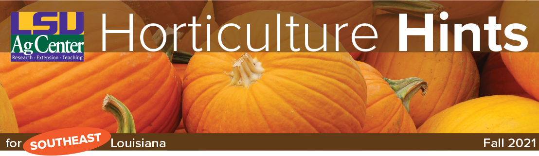HortHint_Header_Fall_2021-Southeast.png thumbnail