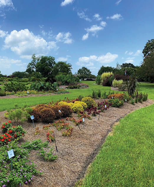A long ornamental flower and shrubbery bed surrounded by green lawn and more ornamental beds with a building in the distance amidst behind larger shrubberies and trees.