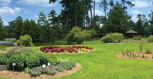 Several ornamental plant beds separated by green lawn infront of a pond on the left, a gazebo on the right, tall trees, and a sky with fluffy clouds.