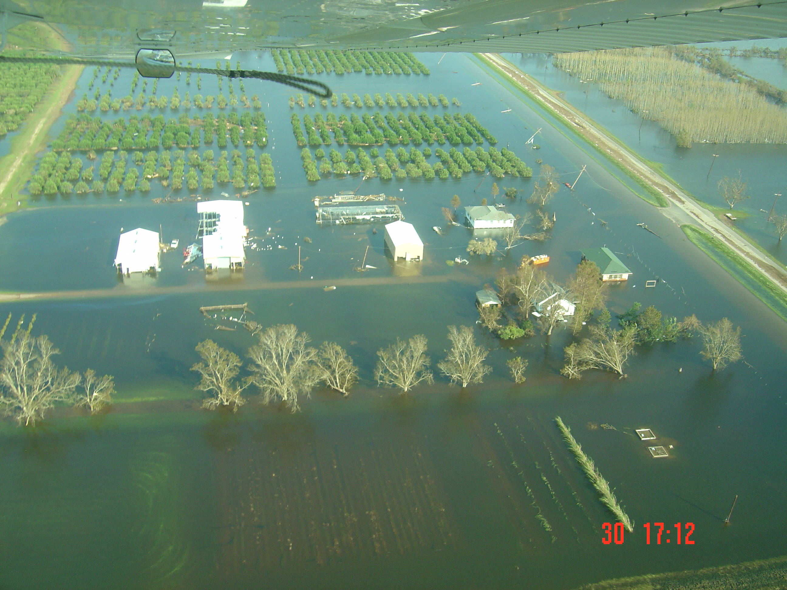 LSU AgCenter Citrus Research Station:  Hurricane Katrina Damage