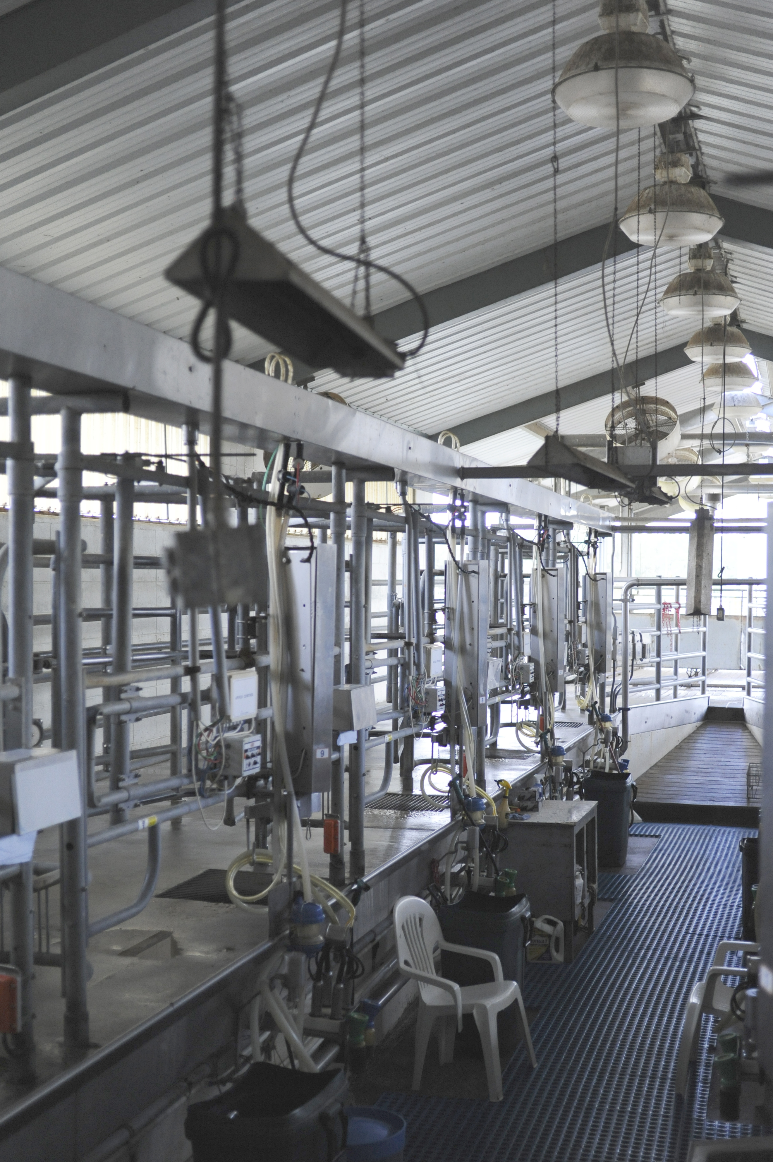 milk parlor