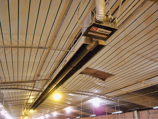 tube heaters