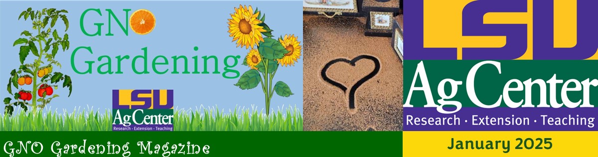 GNO Gardening Magazine - January 2025
