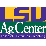 Here are a LSU AgCenter food safety specialist’s tips for the incoming storm