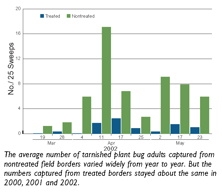 Tarnished Plant Bug Problems and Weed Host Control