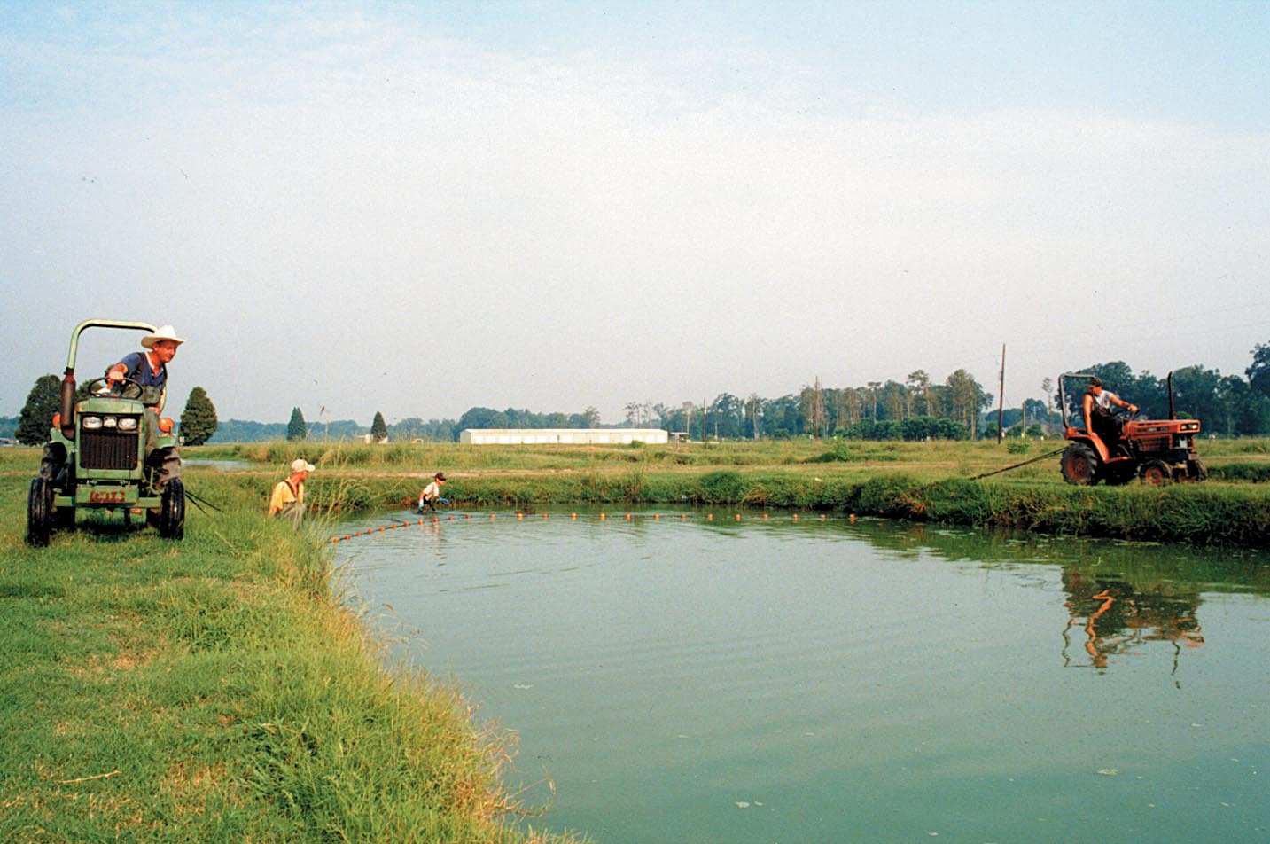 Pond Production of Catfish: Research Focuses on Improving Yields
