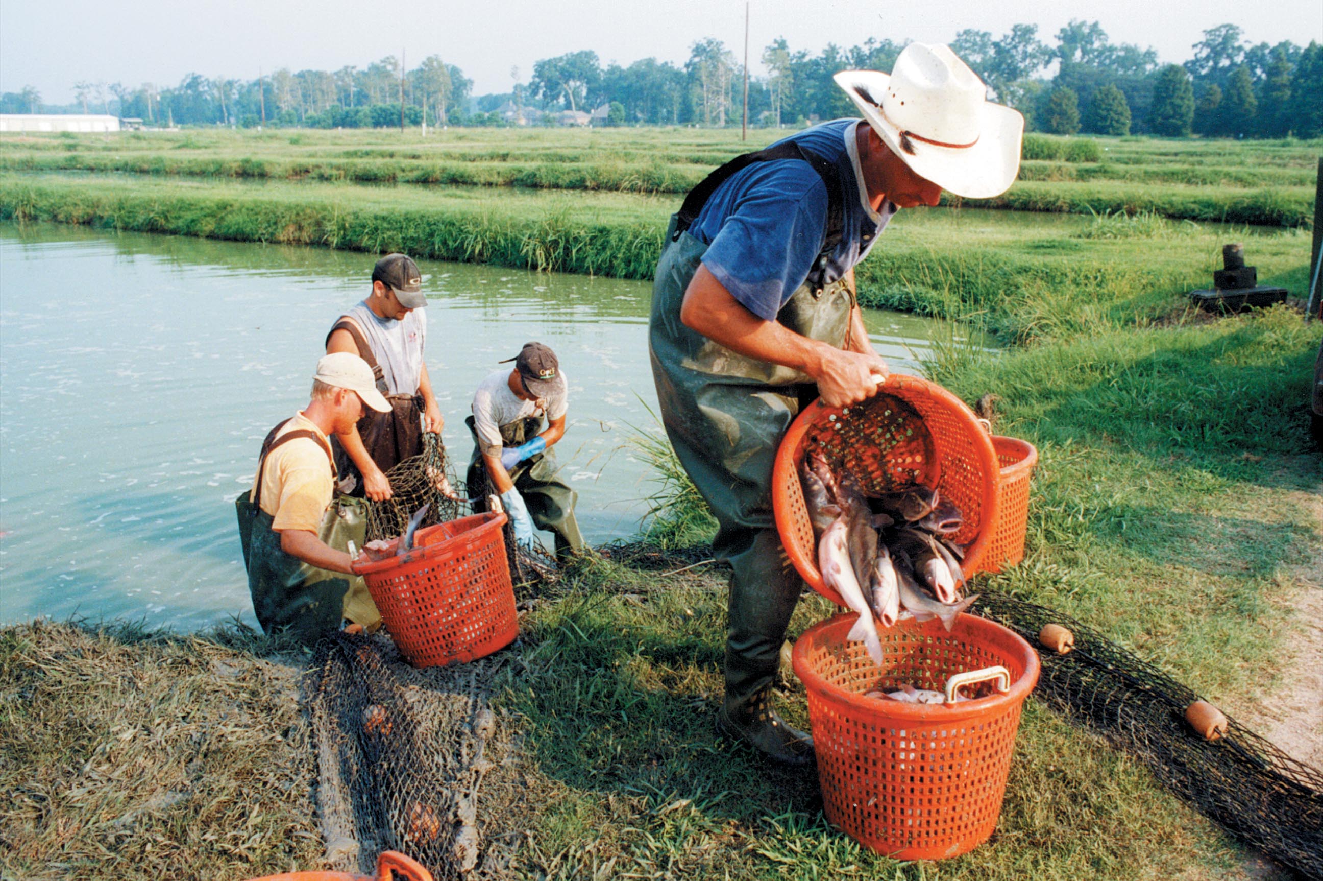 photo of fisherman