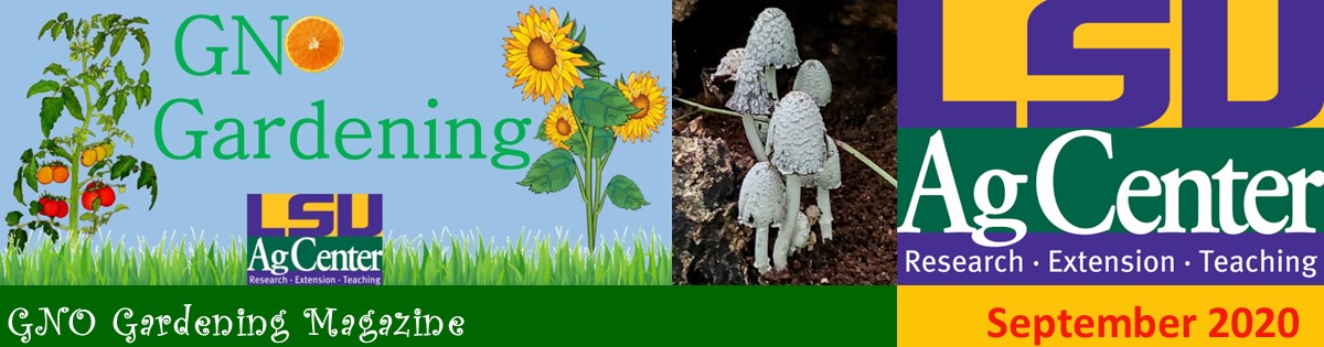 GNO Gardening - September 2020