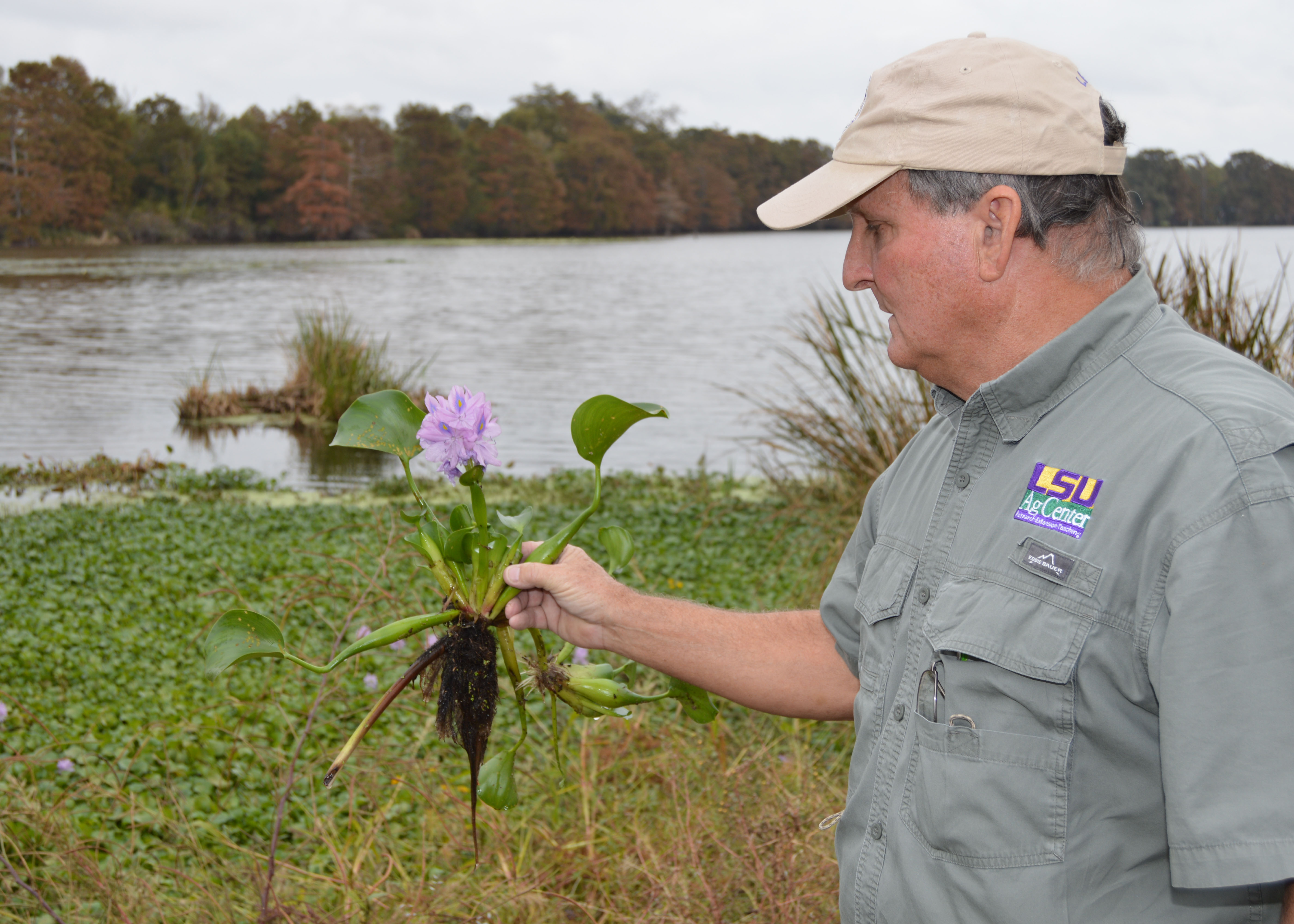 Improving Water Quality in Lake St. Joseph