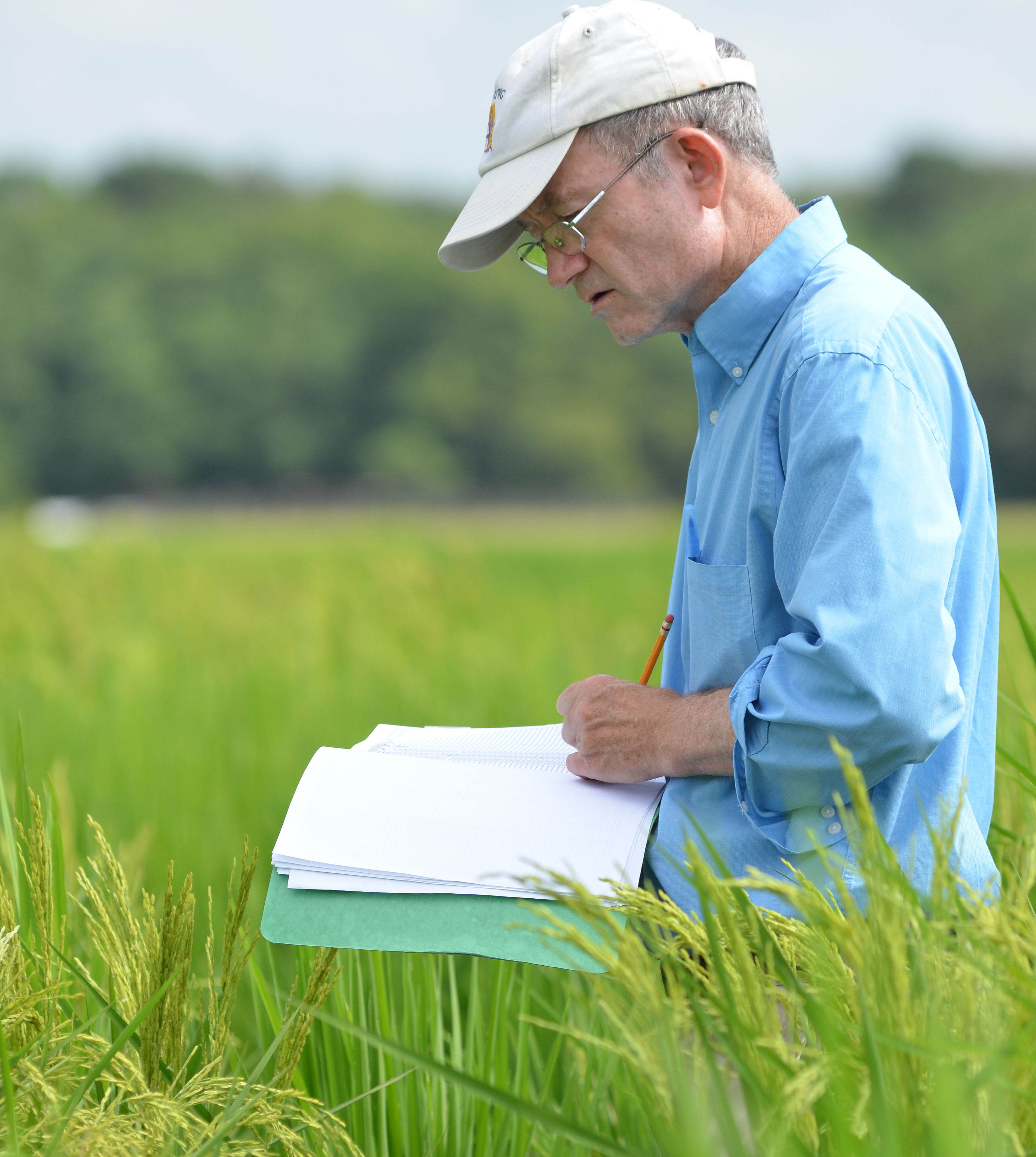 LSU AgCenter Innovations Flow Beyond Louisiana Boundaries