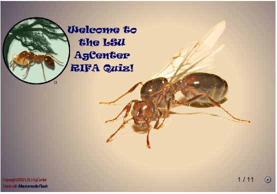 Fire Ant Quiz