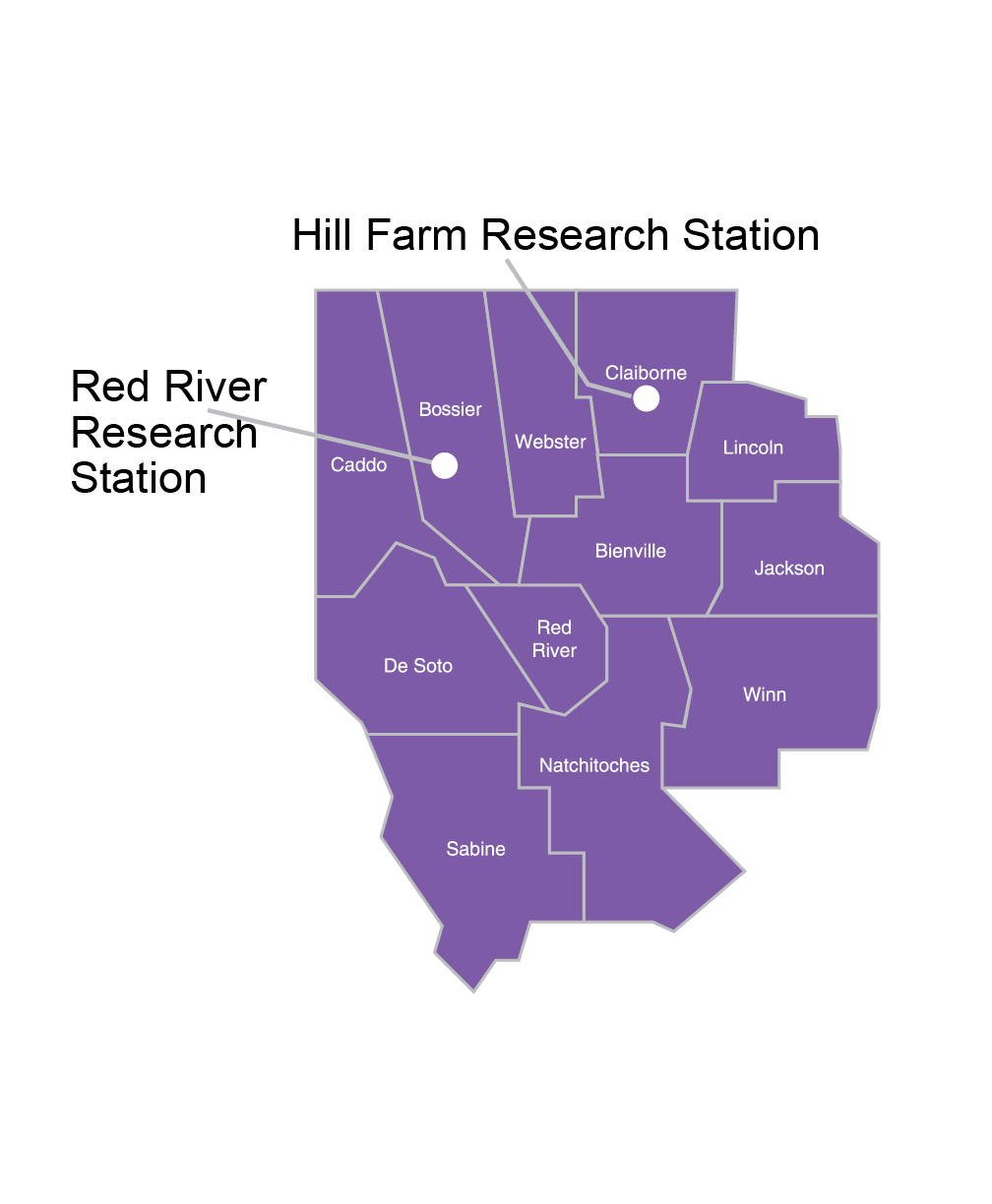 LSU AgCenter Northwest region map.