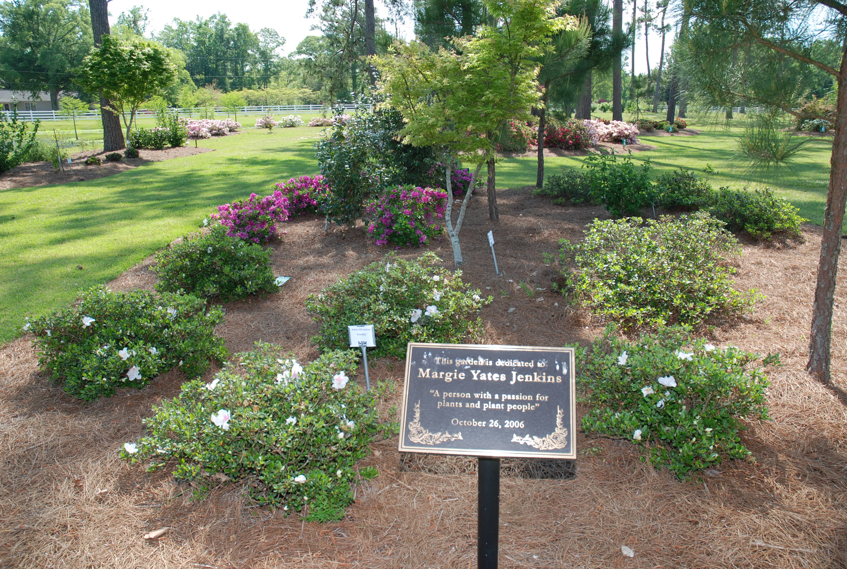 Margie Jenkins Azalea Garden