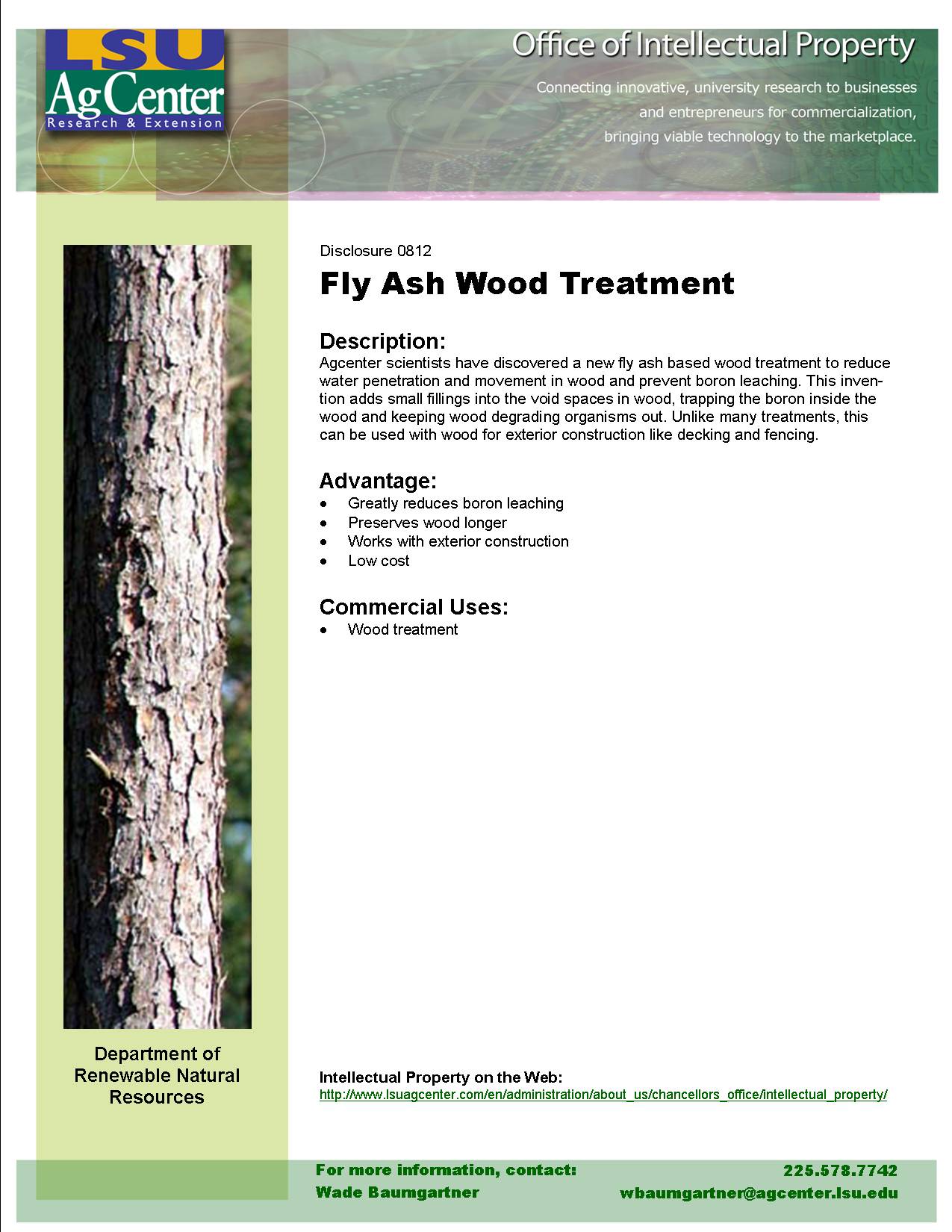 Use of Fly Ash to Reduce Boron Leaching in Wood