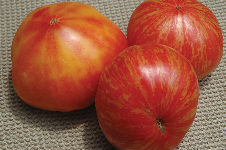 Heirloom Tomatoes Thought to Taste Better