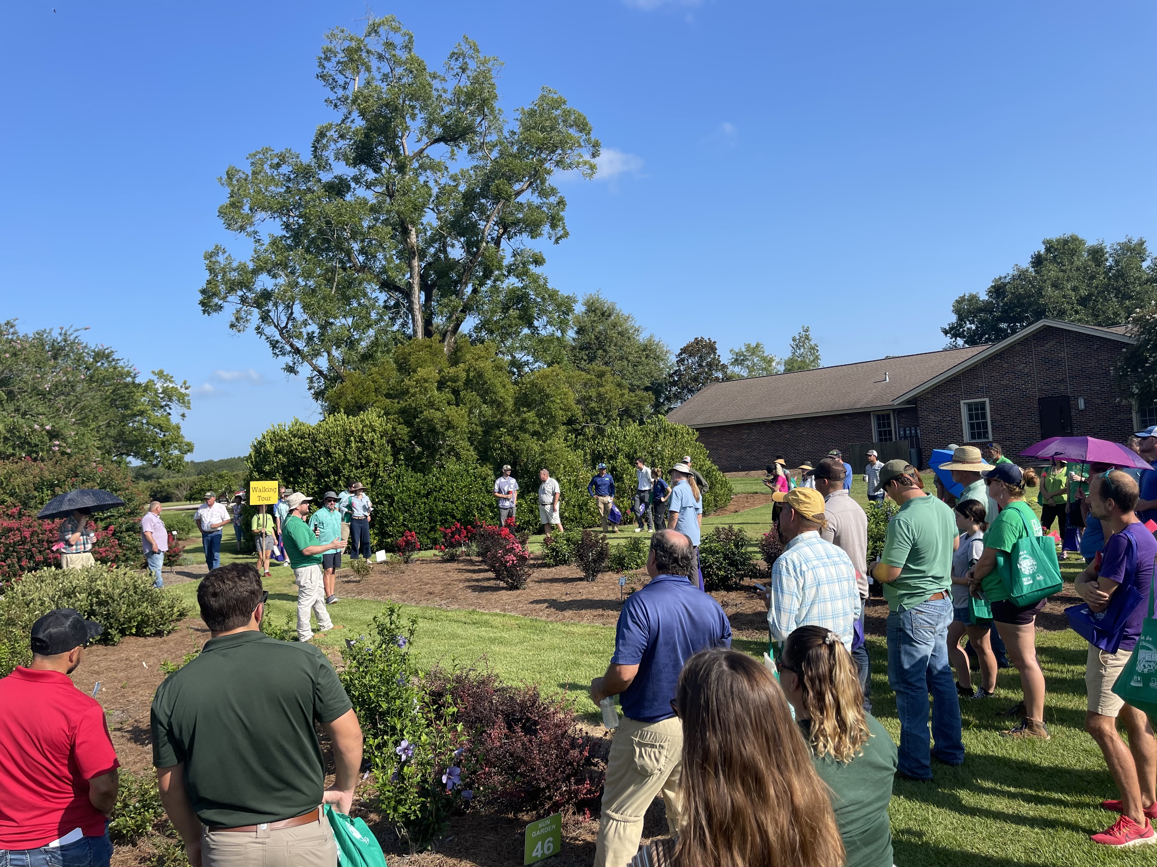 VP Lee: LSU AgCenter, College of Agriculture are ‘winning for Louisiana’ through research, education