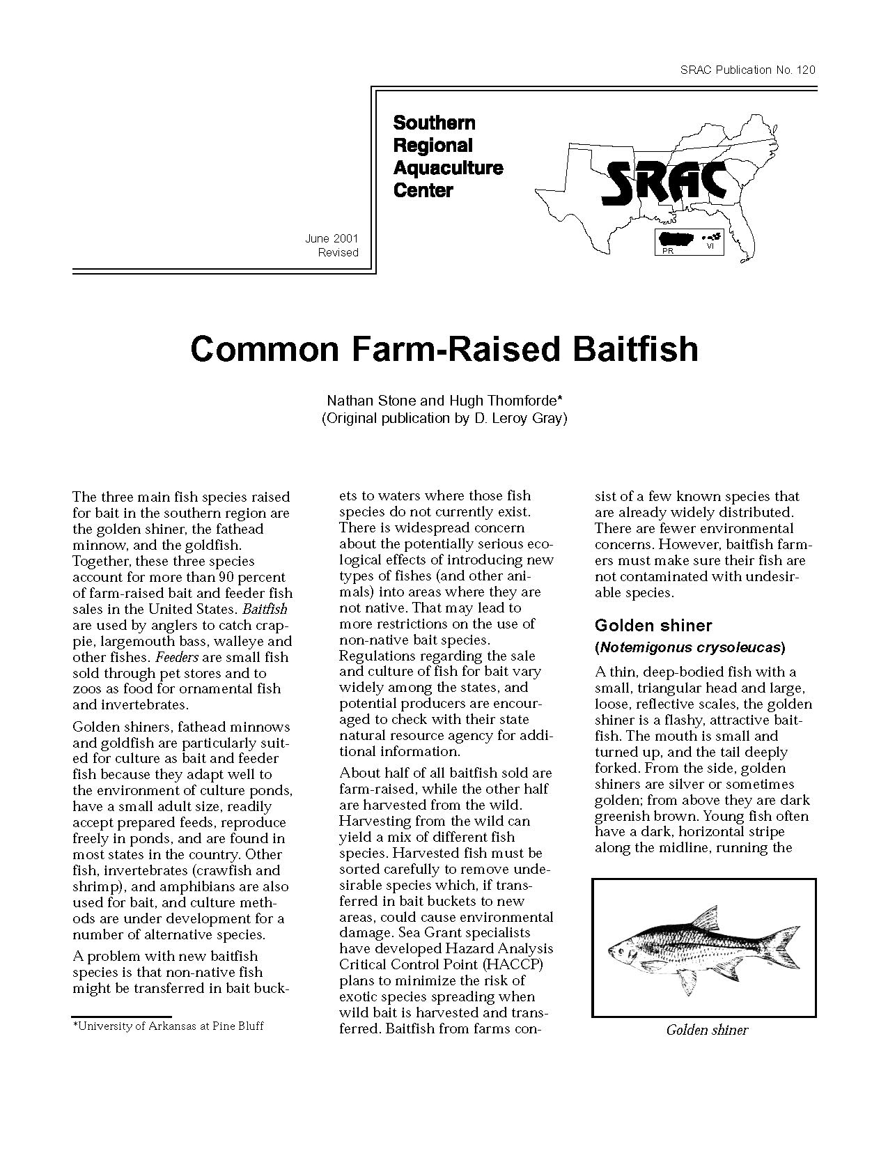 Common Farm-Raised Baitfish