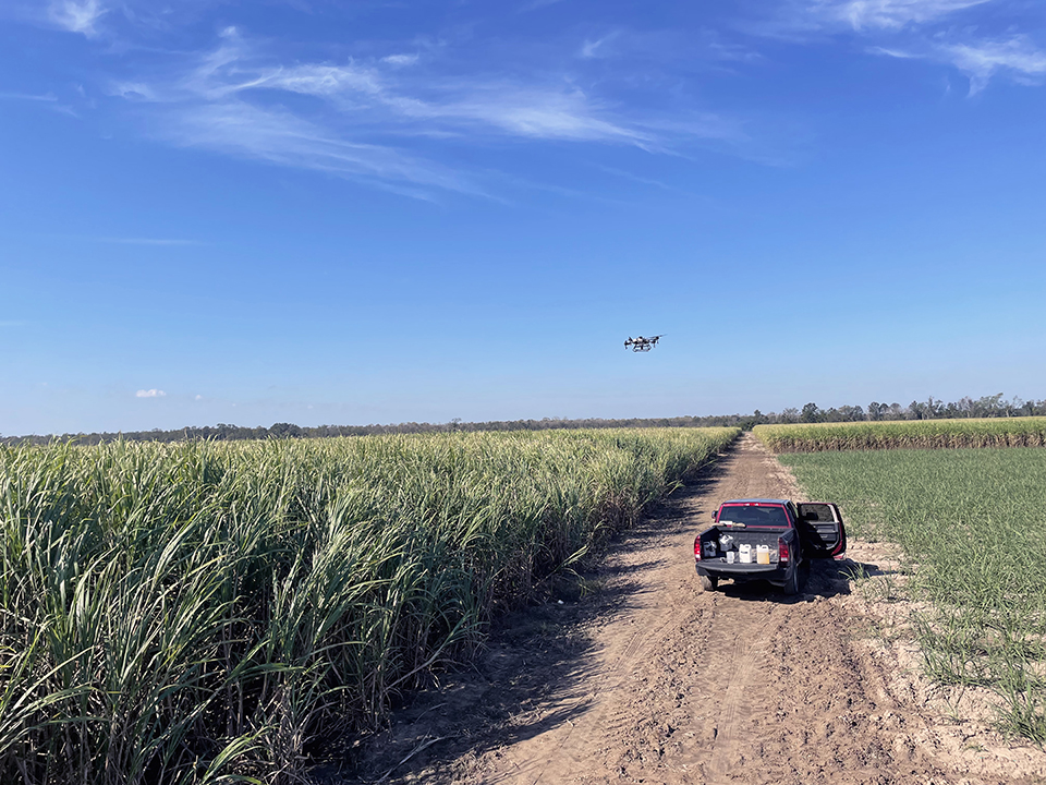 Drone in the sky with grassy field below.