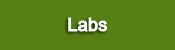 Labs.