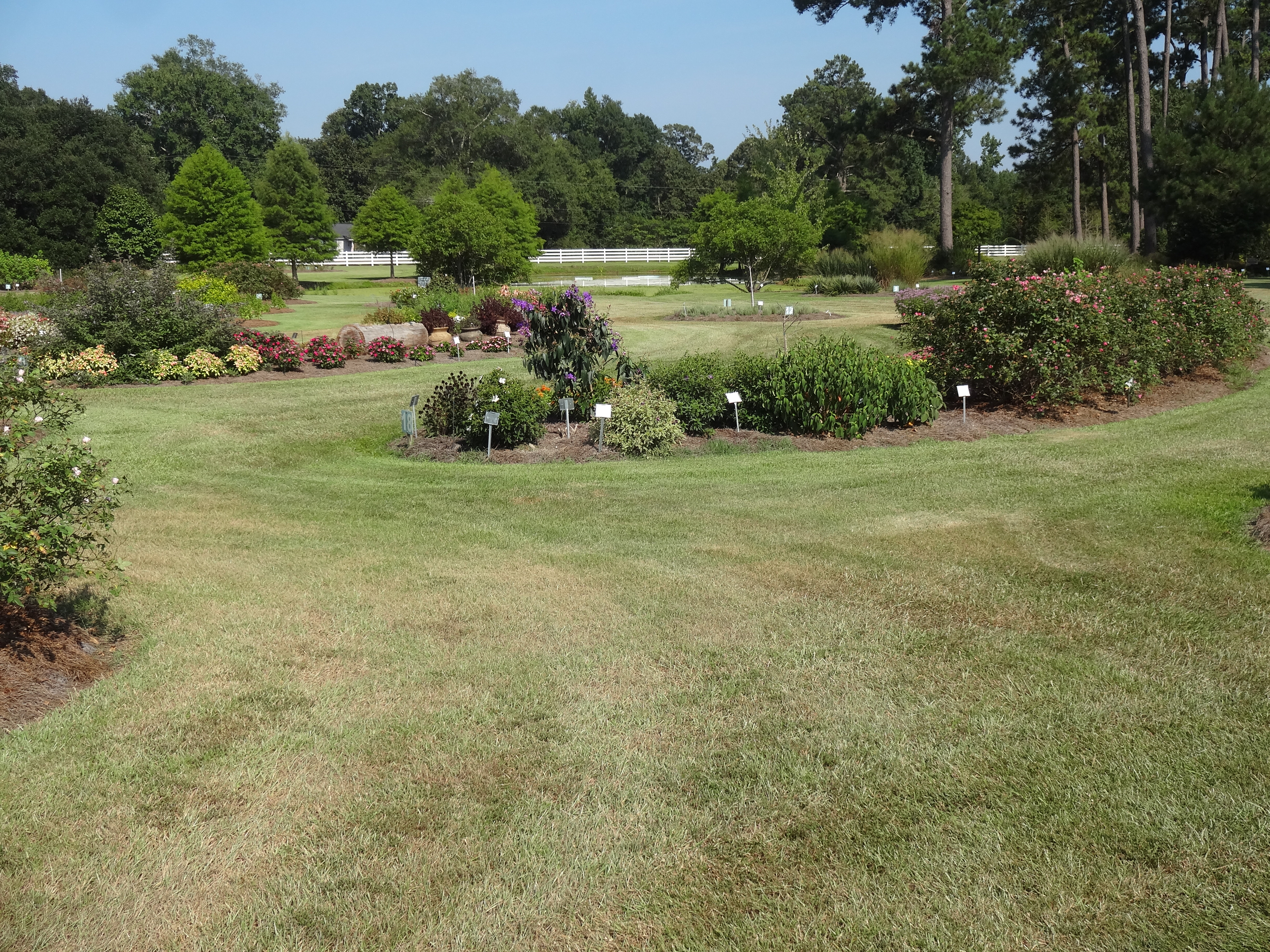 Irrigate wisely during dry weather