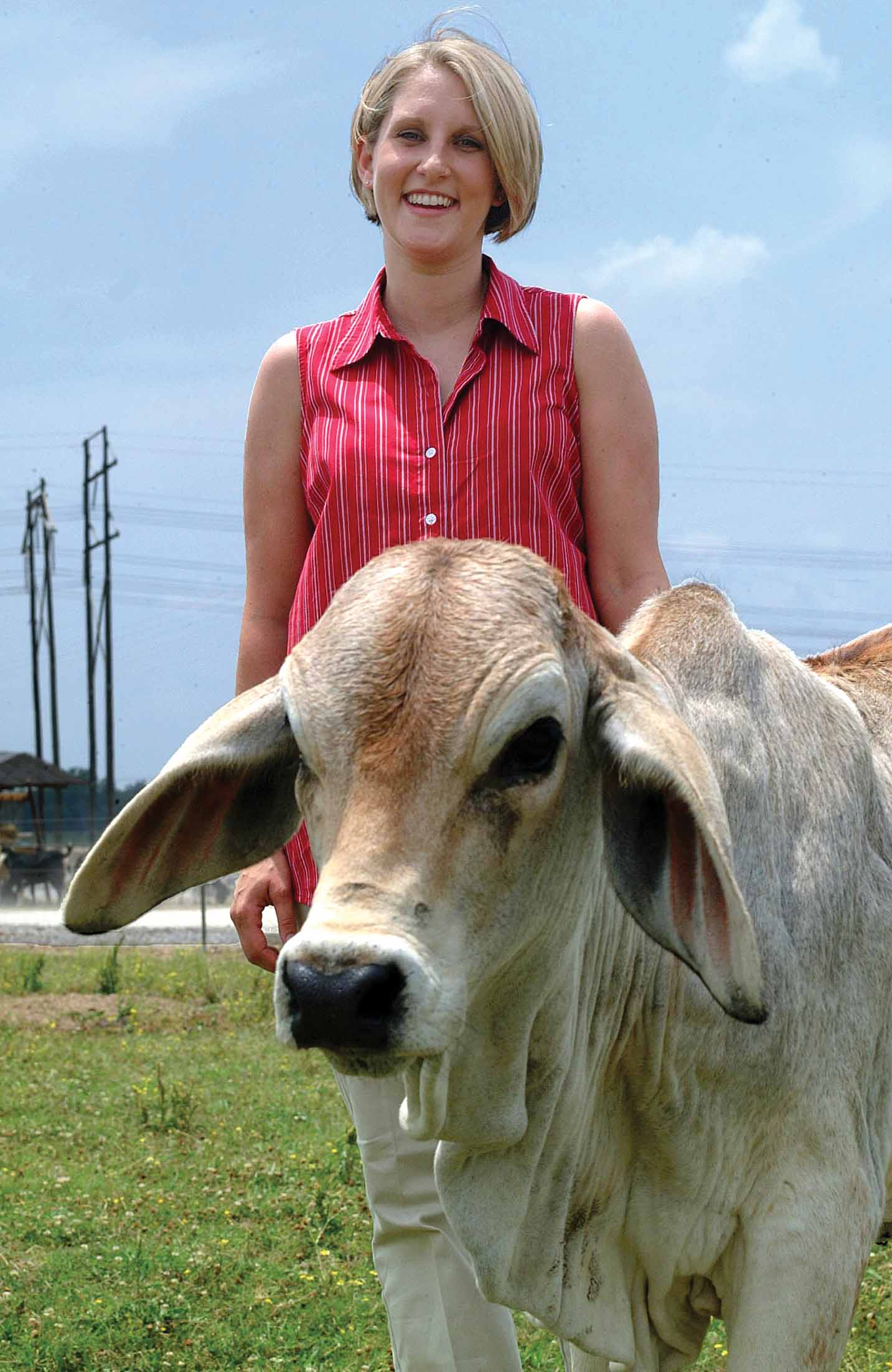 Graduate Student Produces First Cloned Cow From Frozen Egg