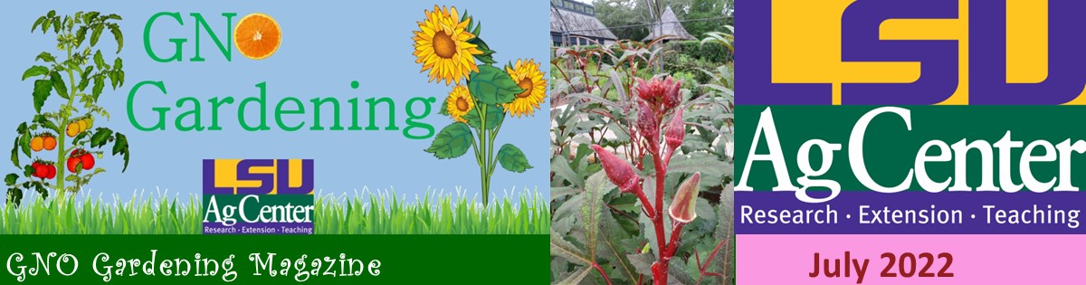 GNO Gardening - July 2022