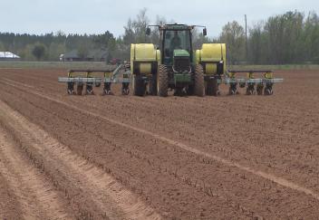 Farm bill forces farmers to make safety net decision