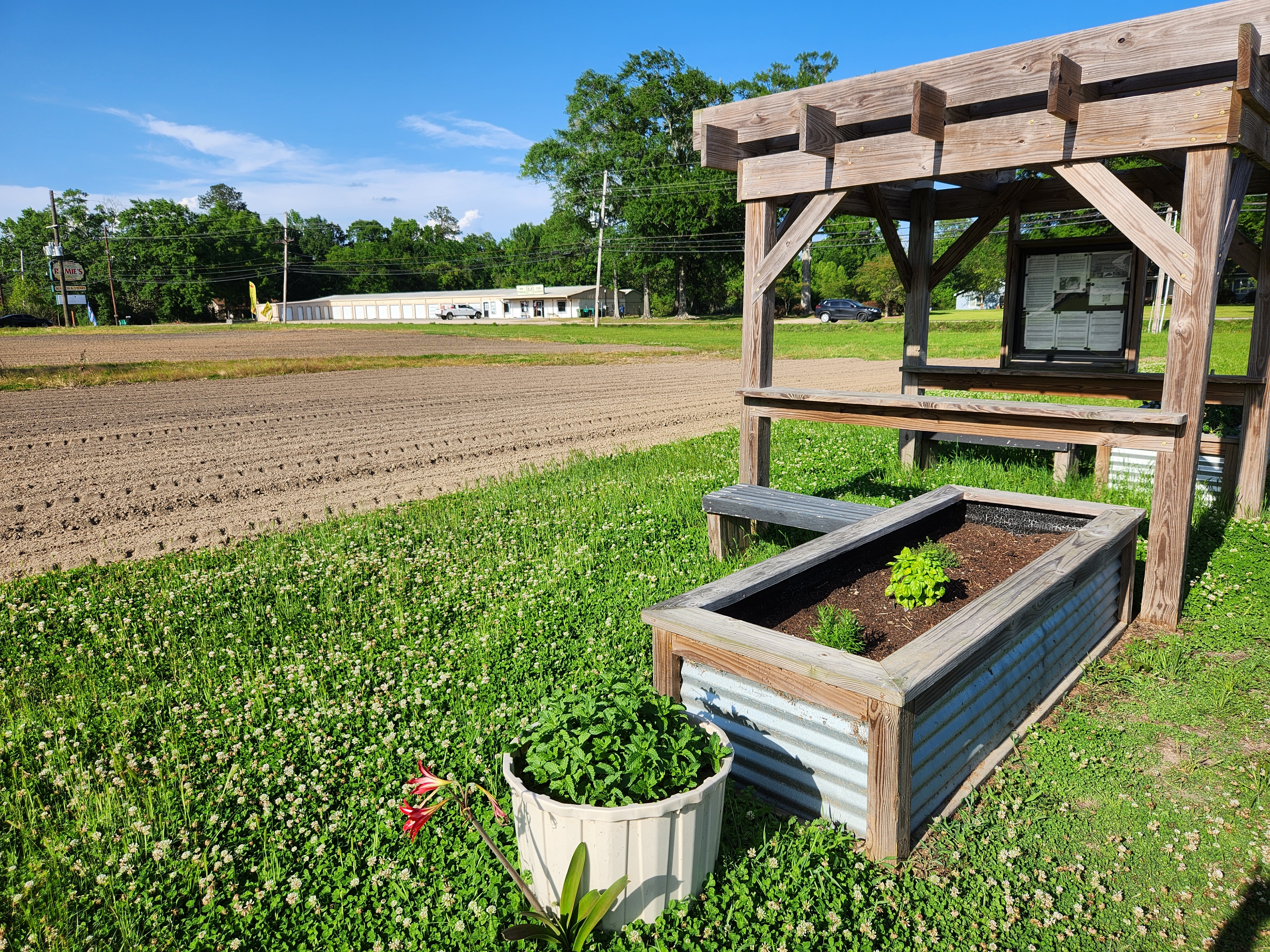 Should You Have Several Small Beds or One Large Garden?