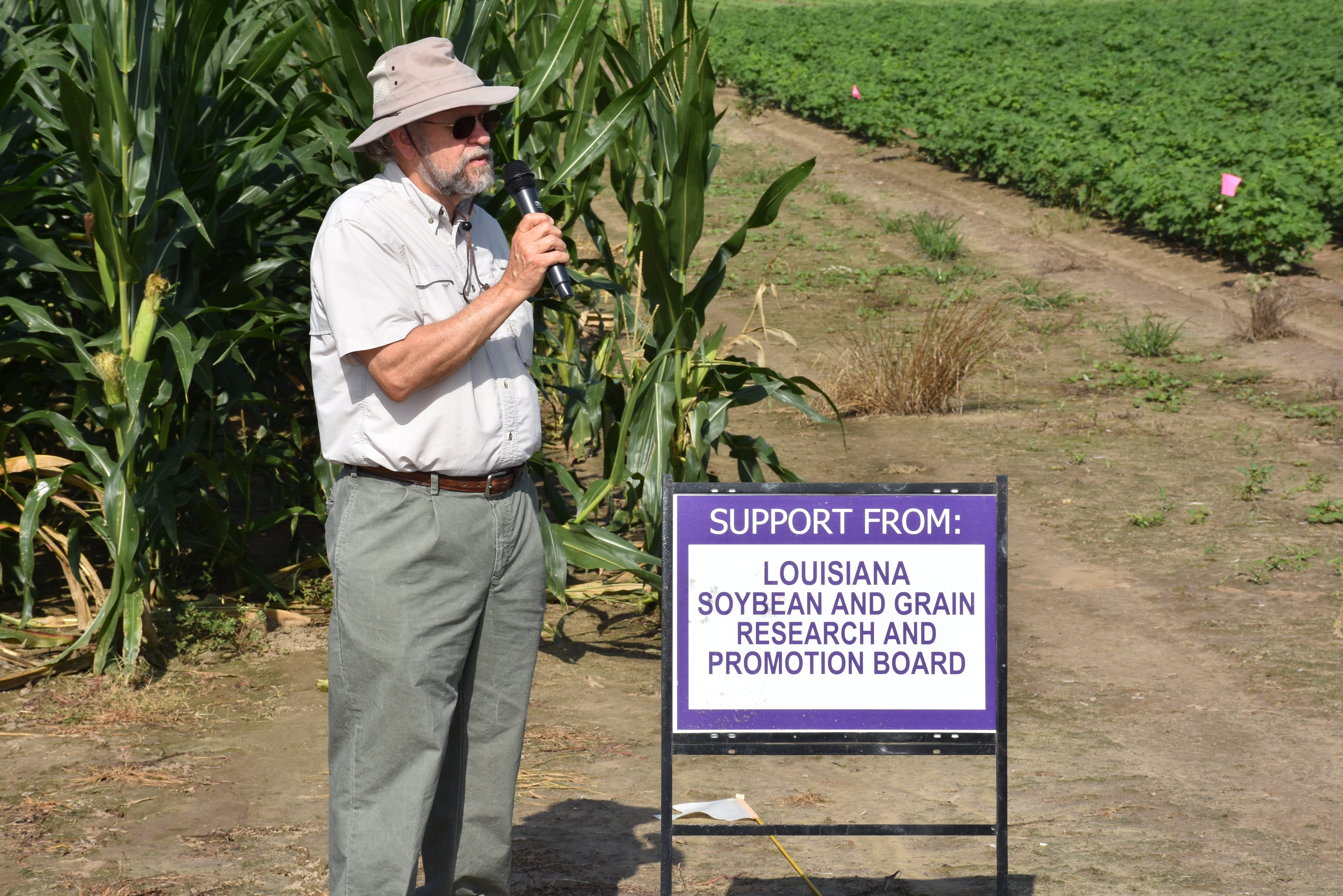 Soil texture may be key to nematode control