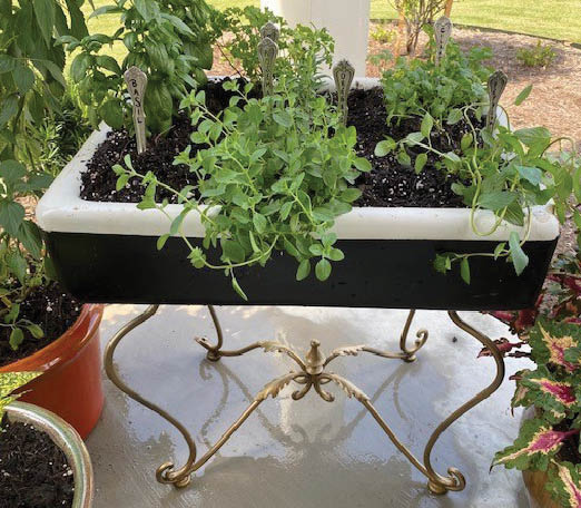 A metal rectangular planter planted with a variety of plants.