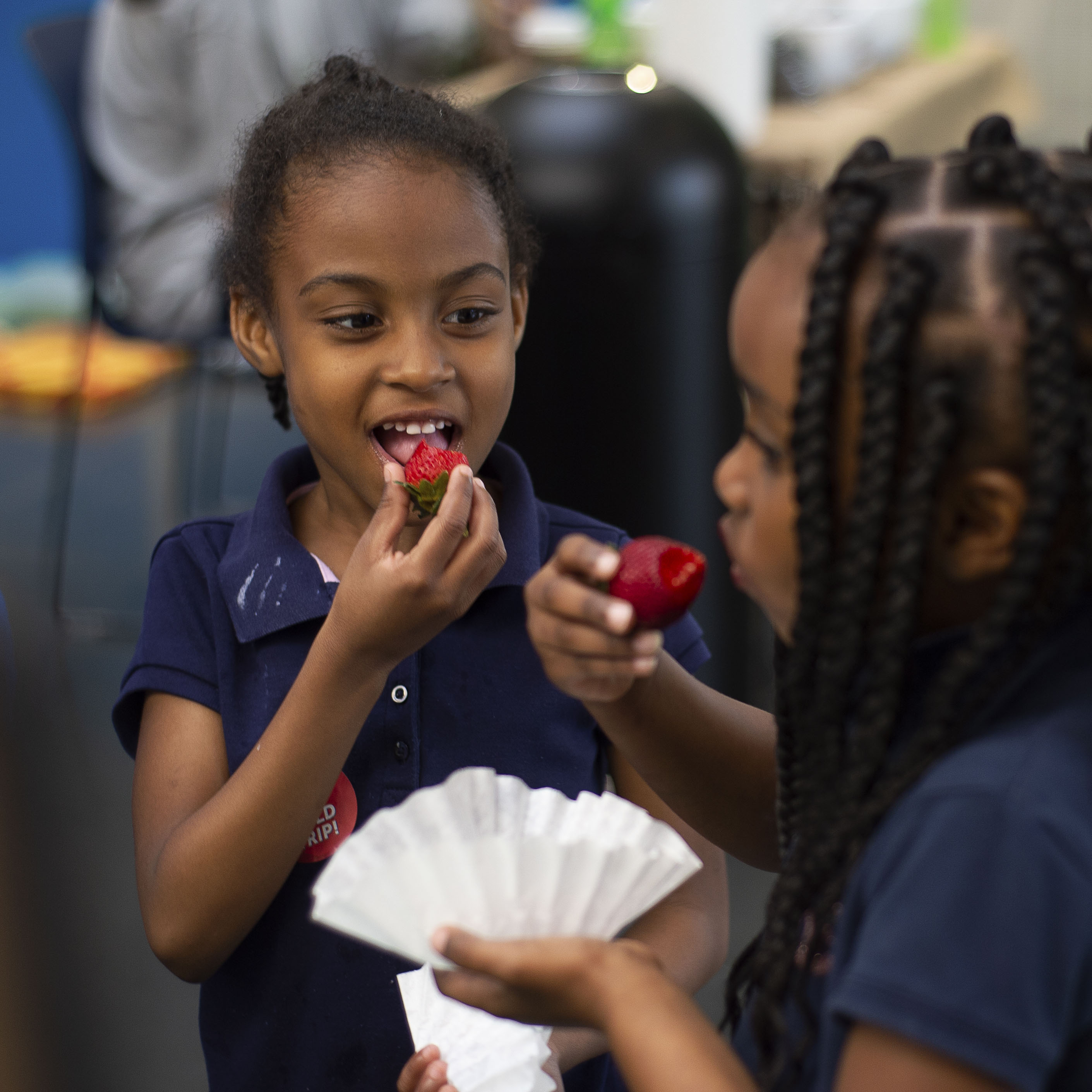 Louisiana Farm to School Plants Seeds to Success